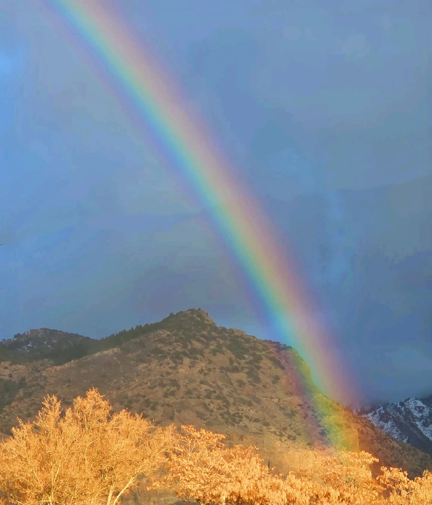 Image uploaded by Sunnie (read bio)