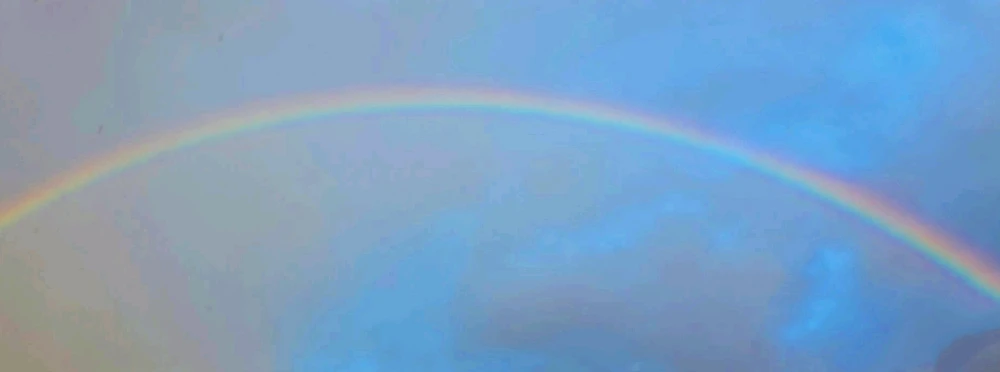 Image uploaded by Sunnie (read bio)