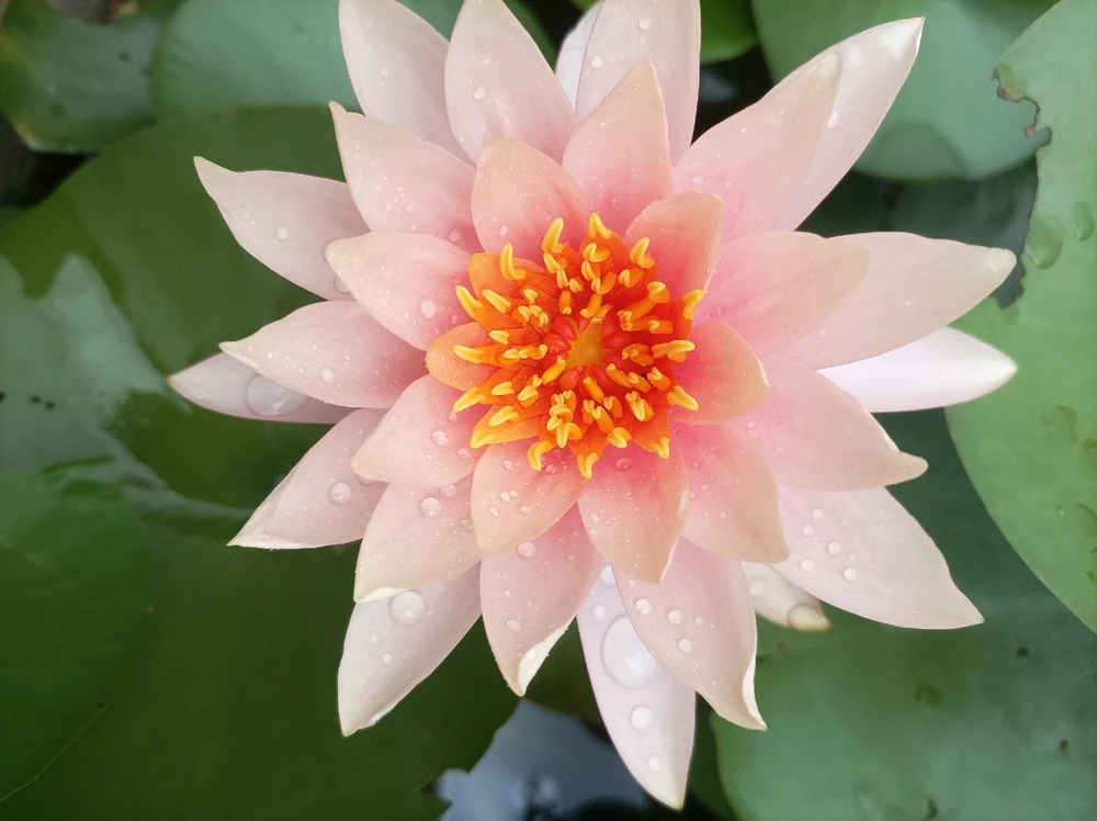 GIF uploaded by Nishank