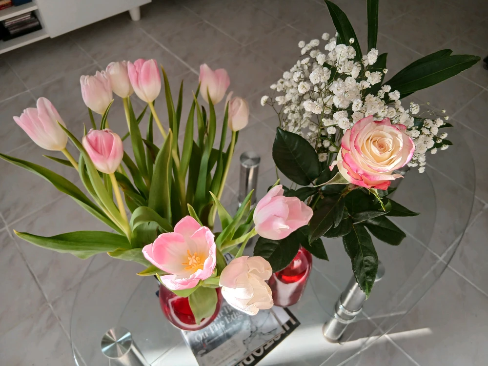 GIF uploaded by Sophia