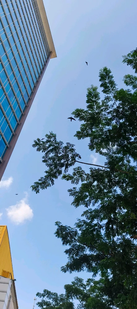 Image uploaded by Meisya