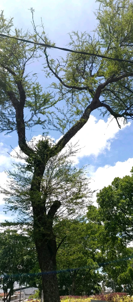 Image uploaded by Meisya