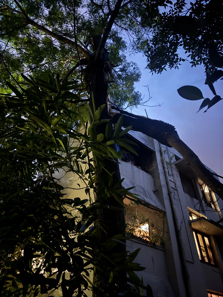 Image uploaded by charan