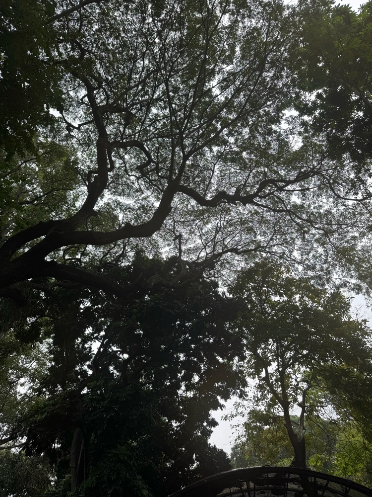 Image uploaded by charan