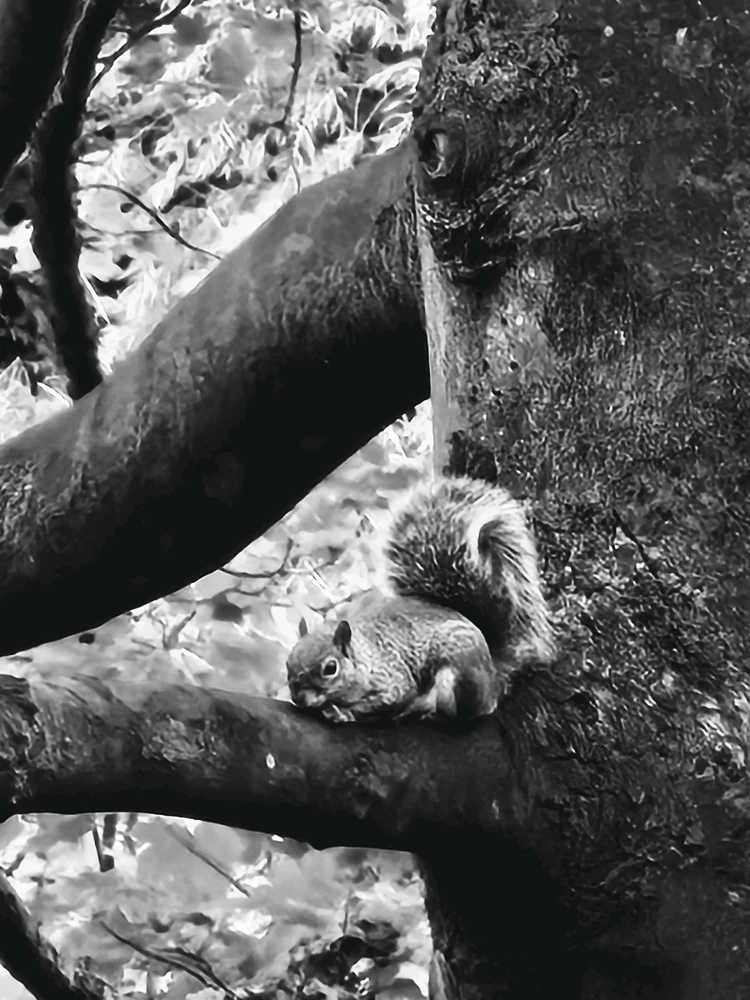 GIF uploaded by Vinny