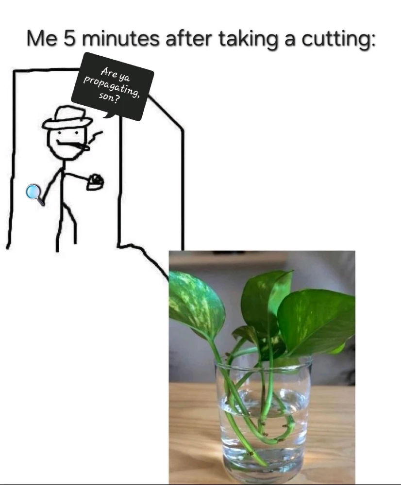 GIF uploaded by Aida