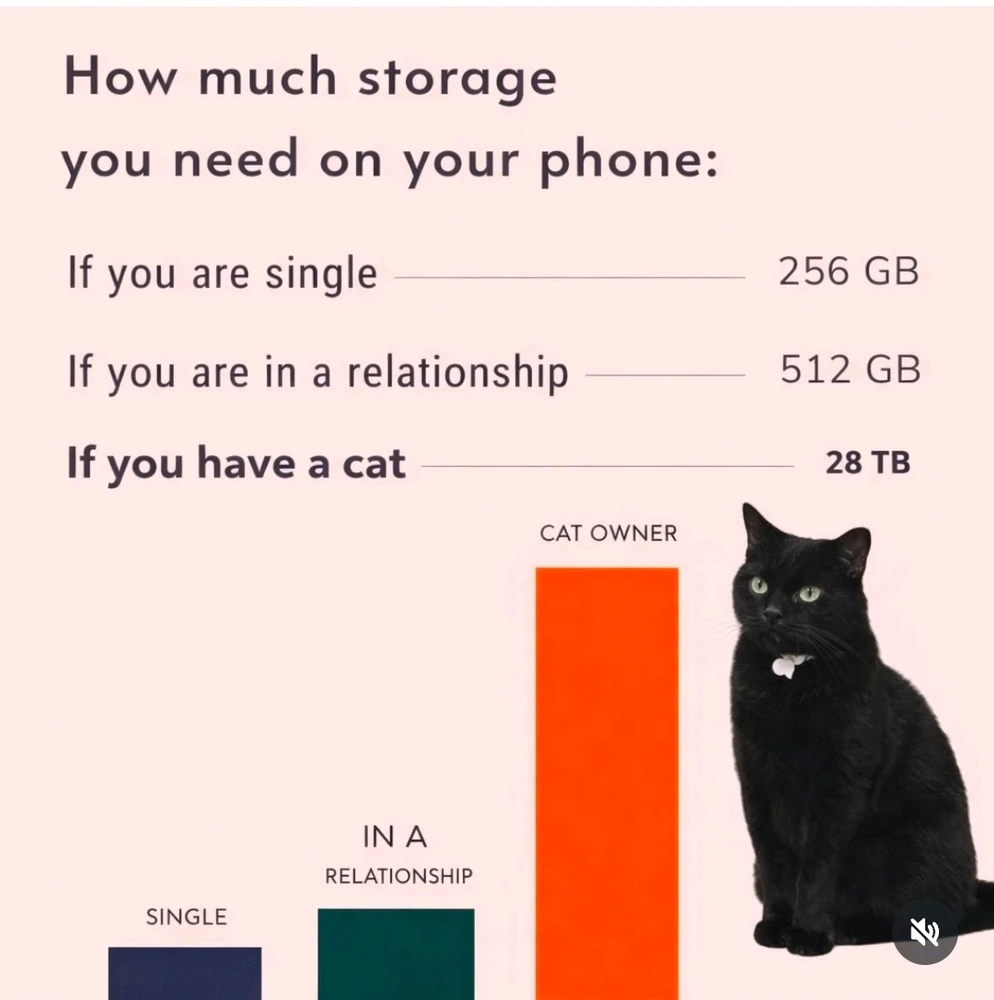 GIF uploaded by Svetlana