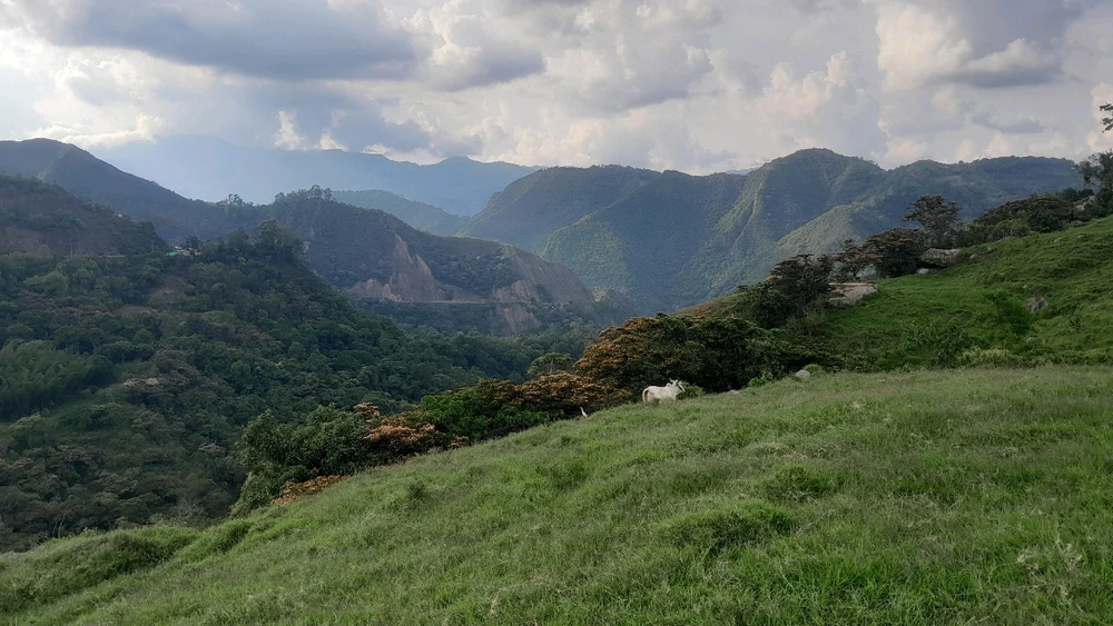 GIF subido por Steven