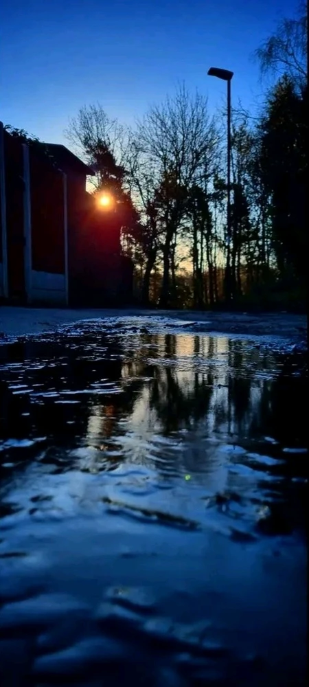 GIF uploaded by David