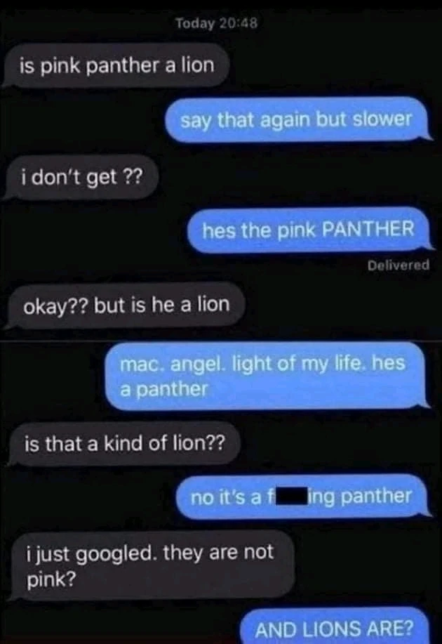 GIF uploaded by 𝕊𝕥𝕒𝕪𝕔𝕖