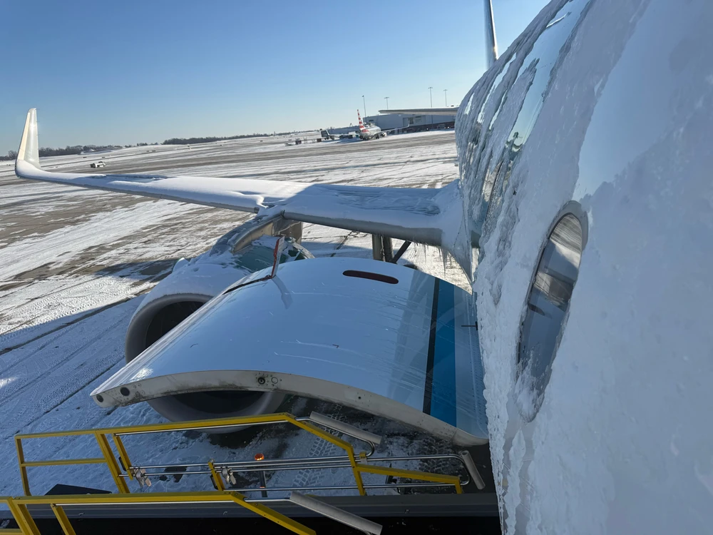 Image uploaded by Sean