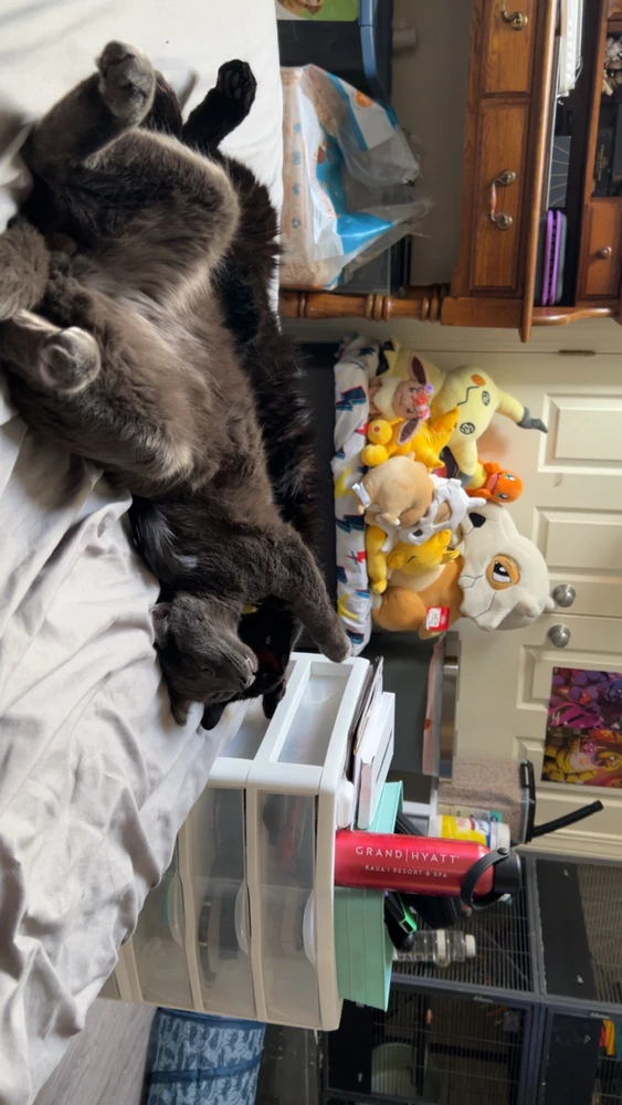 GIF uploaded by Nikki