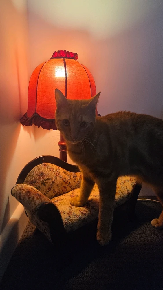 GIF uploaded by Jake