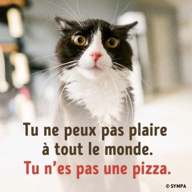 GIF ajouté par Manon