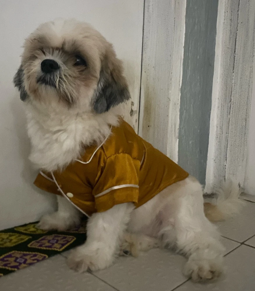 GIF uploaded by Athena