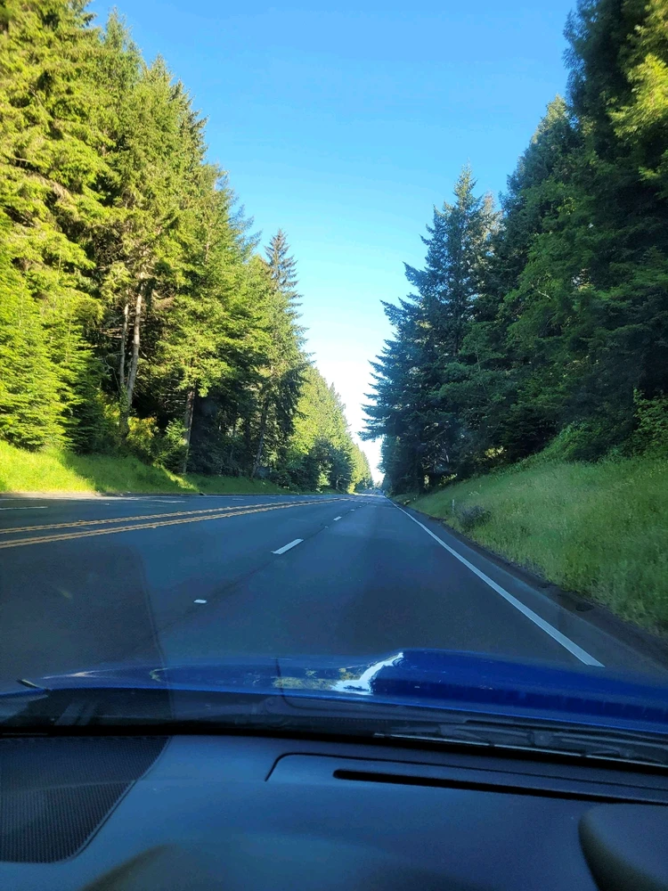 GIF uploaded by Chrissy, wake up!