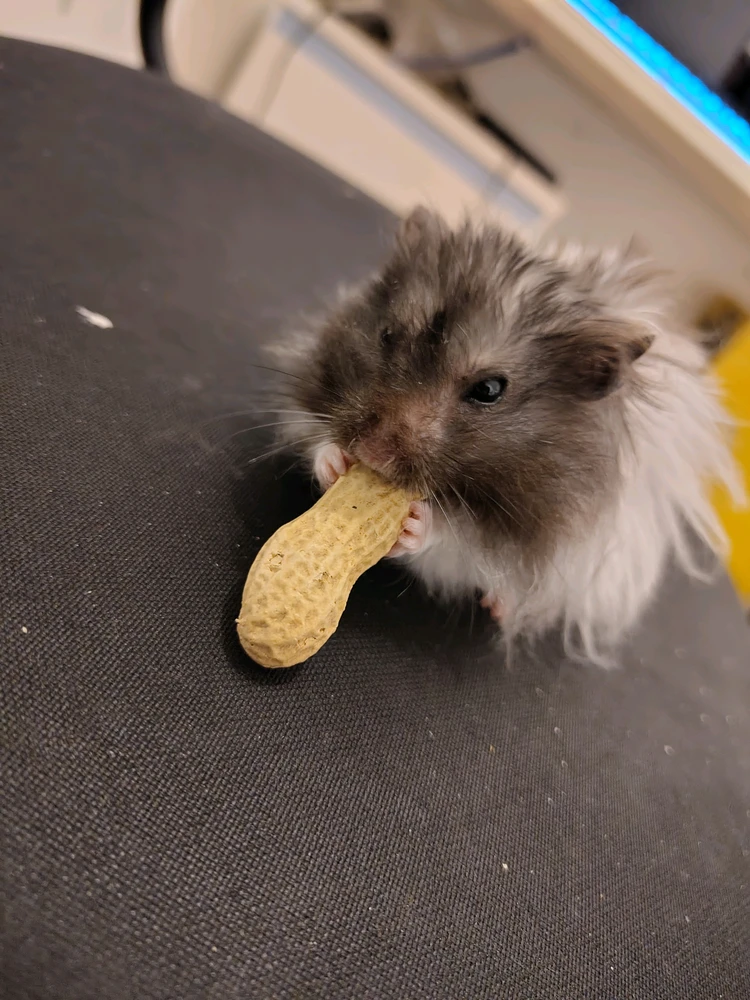 Bild hochgeladen von Silas