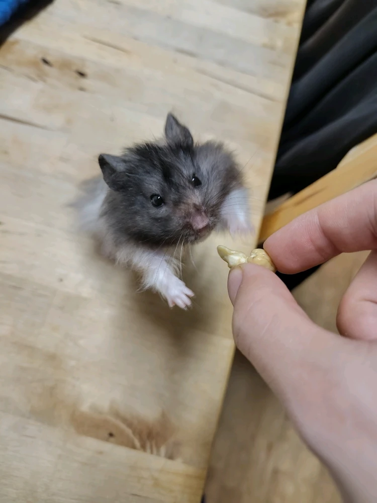 Bild hochgeladen von Silas