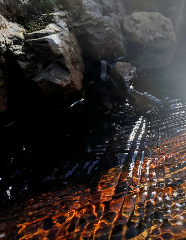 GIF uploaded by Chris