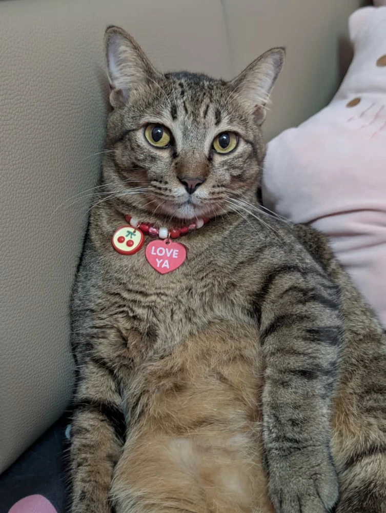 GIF uploaded by Olivia