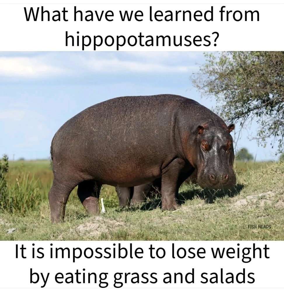 GIF uploaded by Marcel