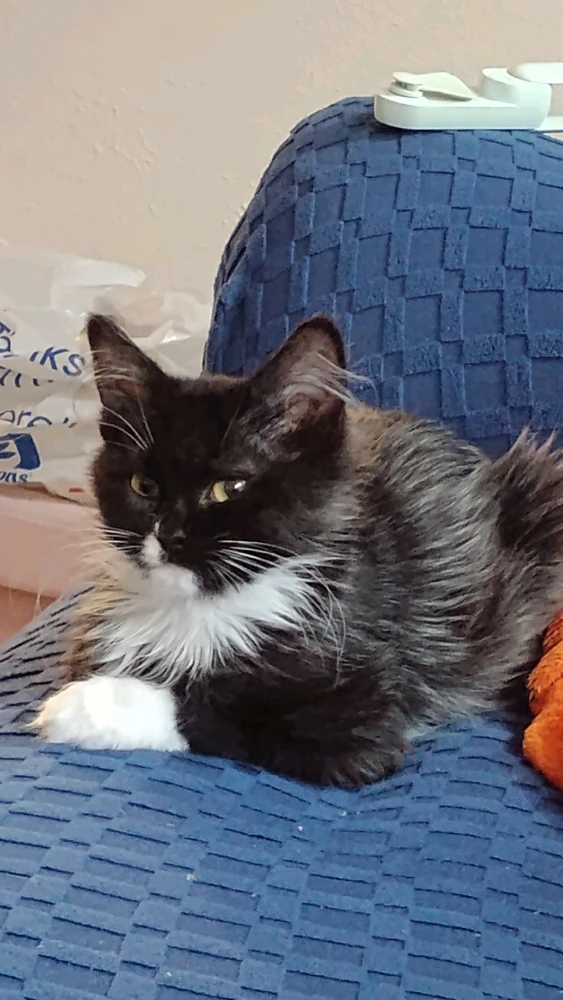 GIF uploaded by Michael