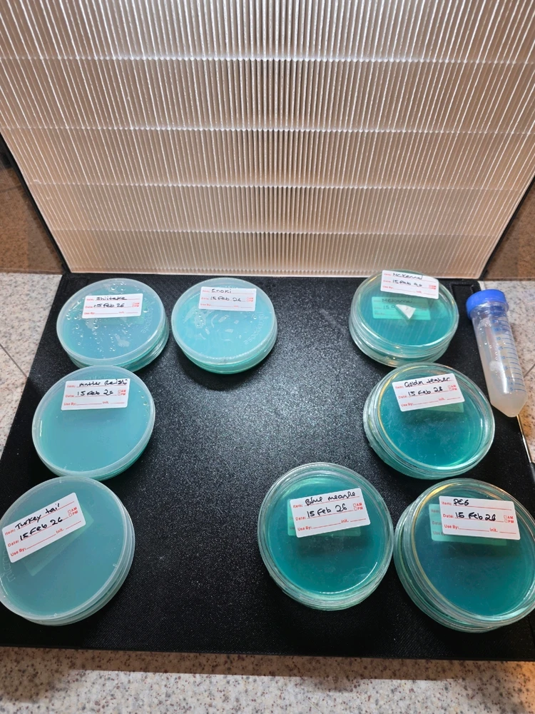 GIF diunggah dening Ash