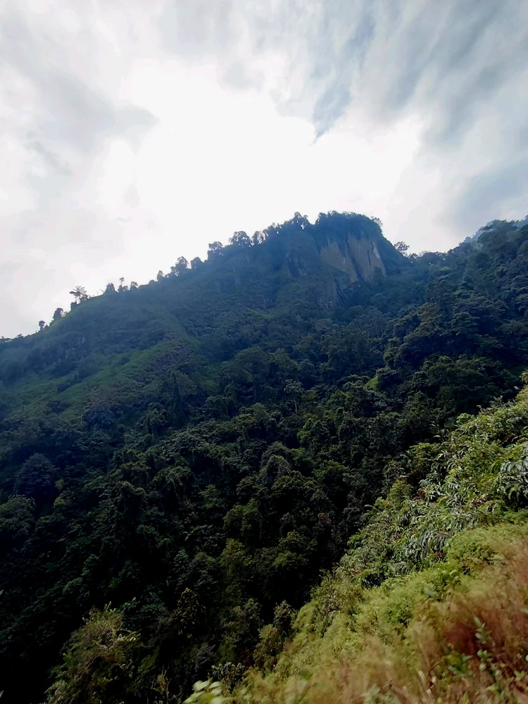 Image uploaded by Andis