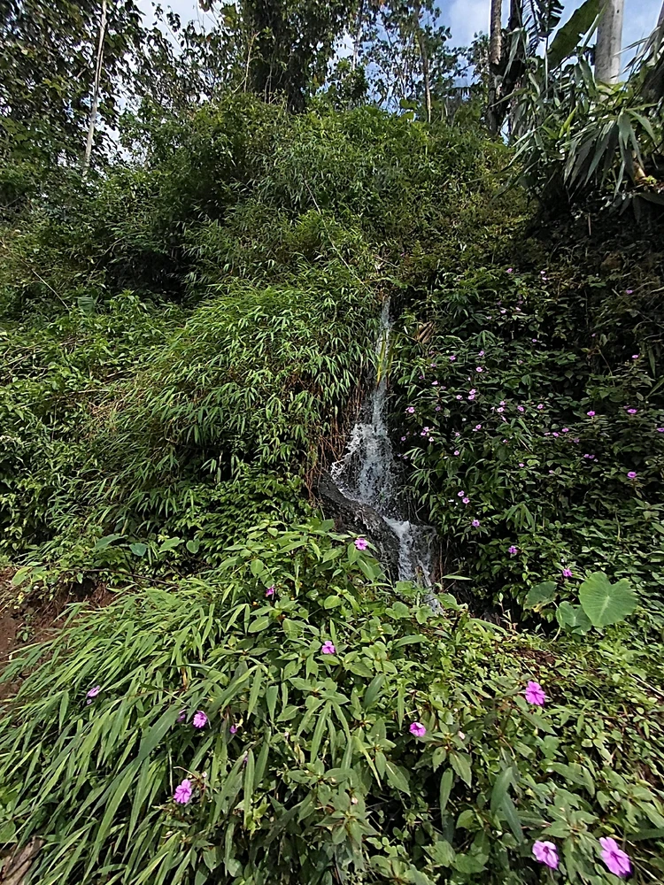 Image uploaded by Andis