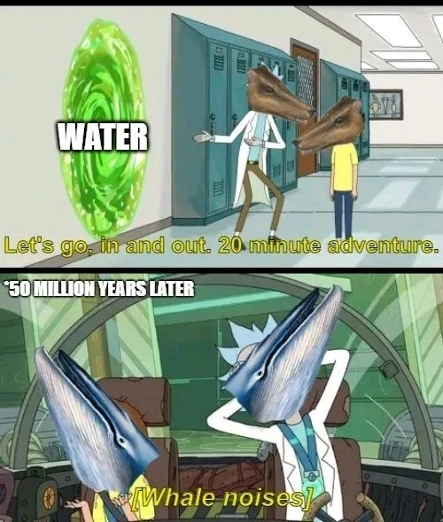 GIF uploaded by Andreas Sauer