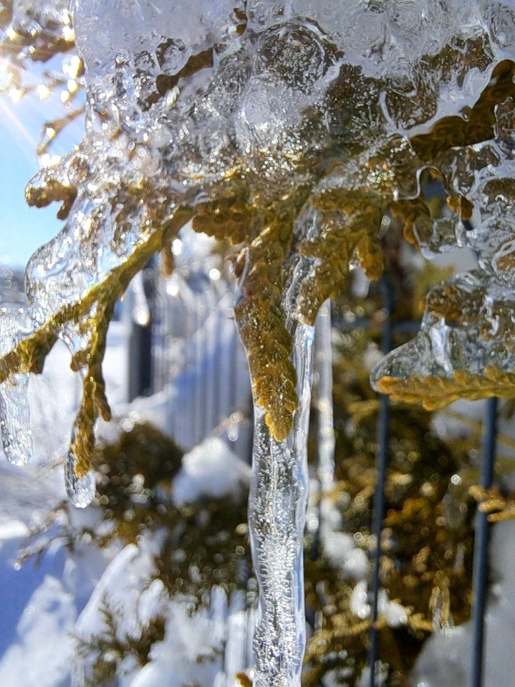 MariannaがアップロードしたGIF