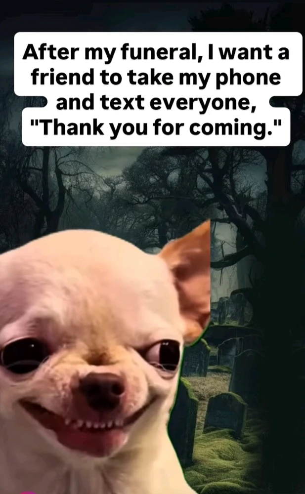 Гіфку завантажив Natalia🦇