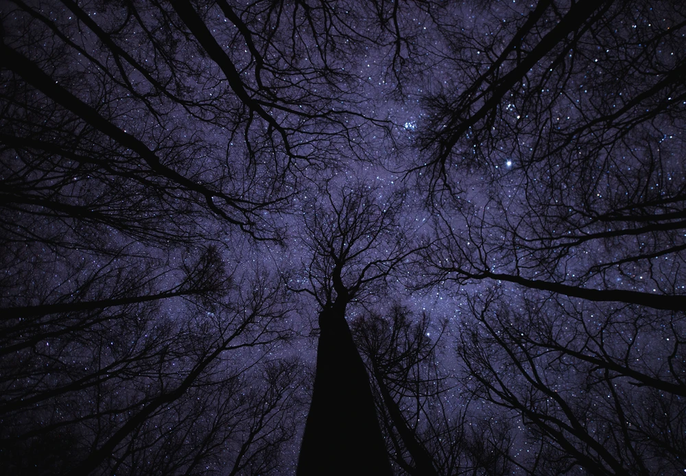 Image uploaded by Filip