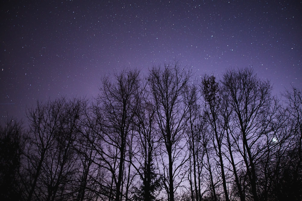 Image uploaded by Filip