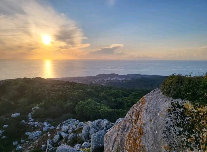 Sliku je postavio/la Marko
