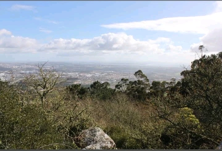 Sliku je postavio/la Marko