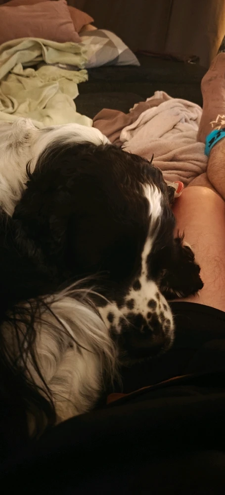 GIF uploaded by JoonasH