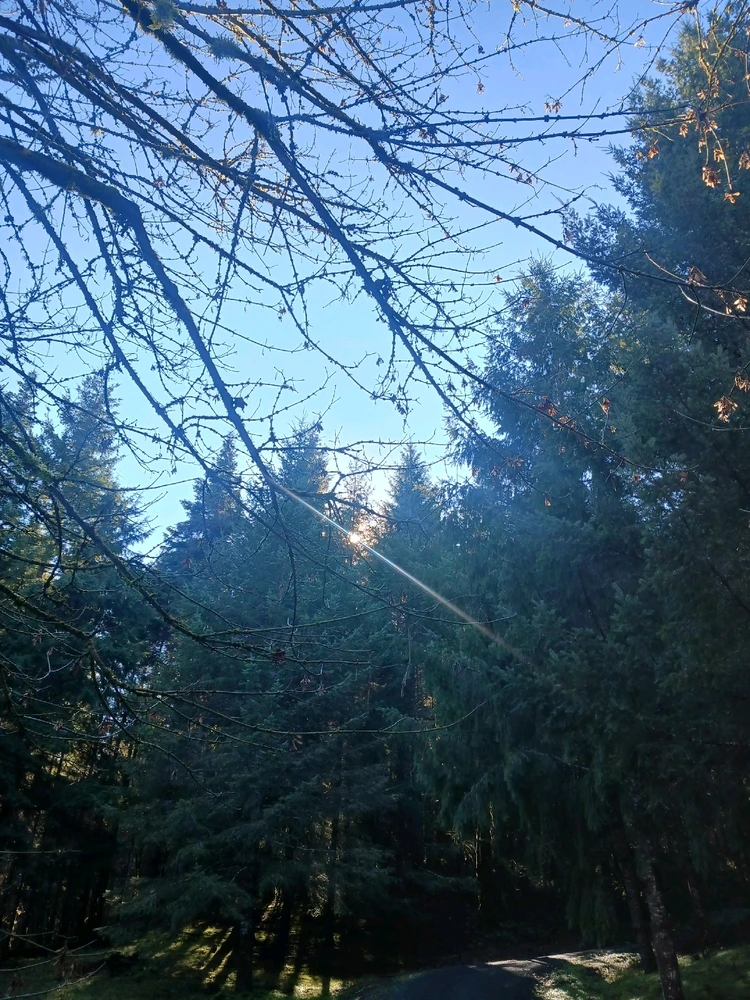 GIF uploaded by Hayden