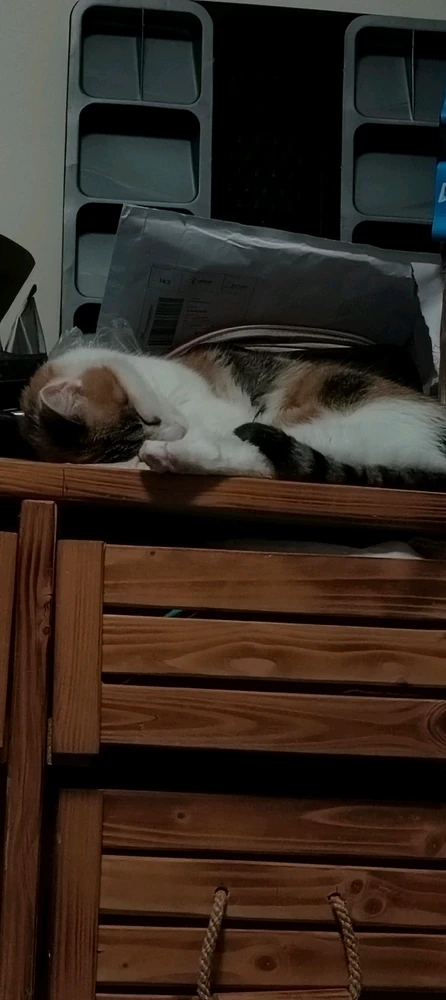 GIF uploaded by Wiminung