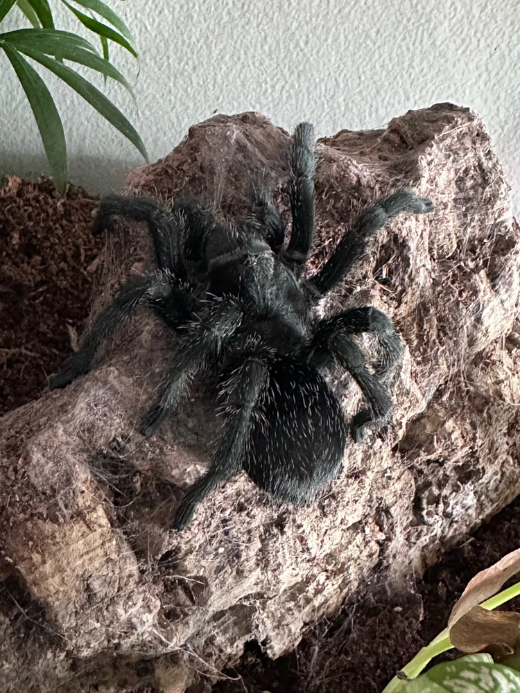 Image uploaded by Angie