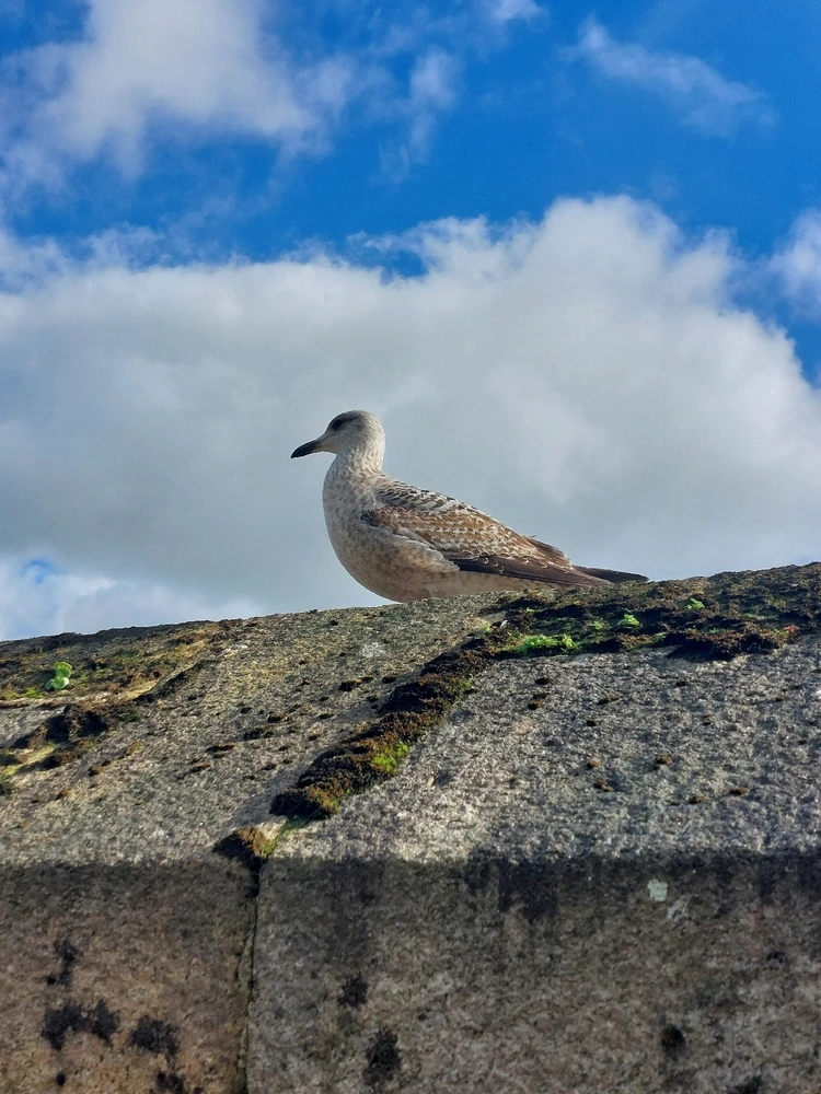 Image ajoutée par Caroline