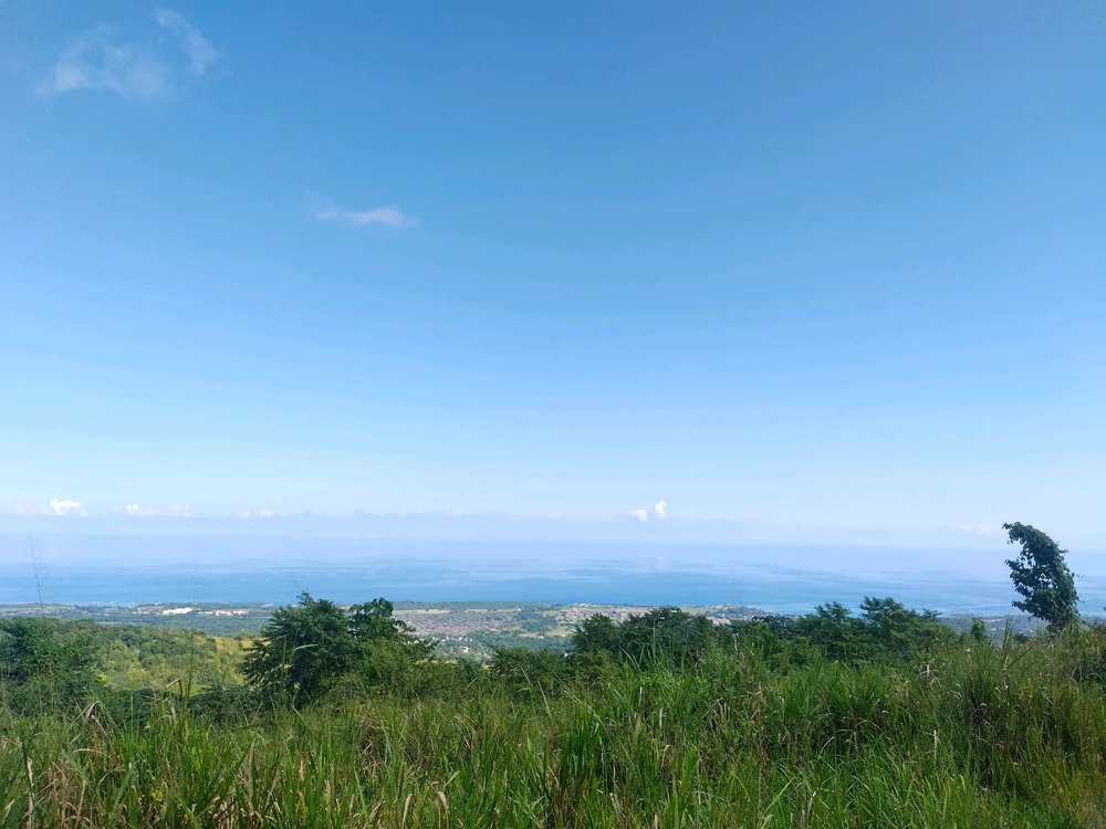 Image uploaded by Kai