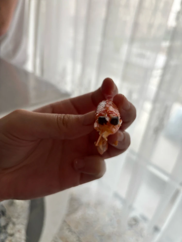 GIF uploaded by fhart