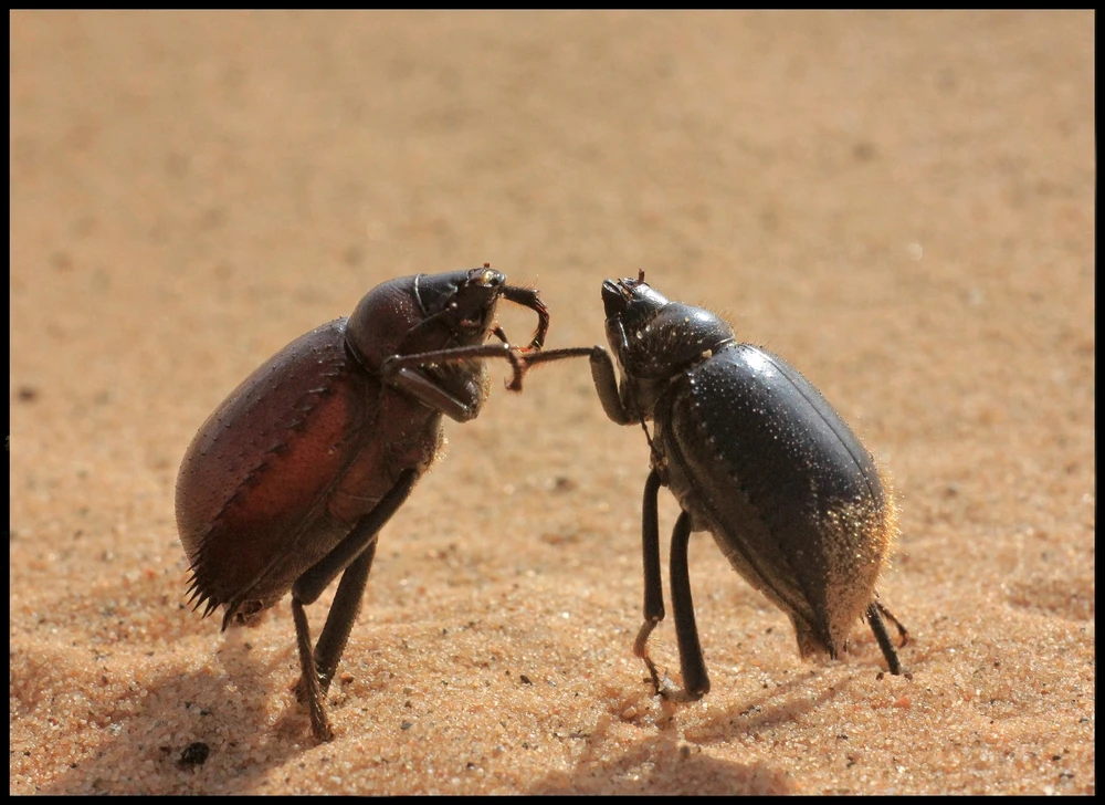 GIF uploaded by Denis