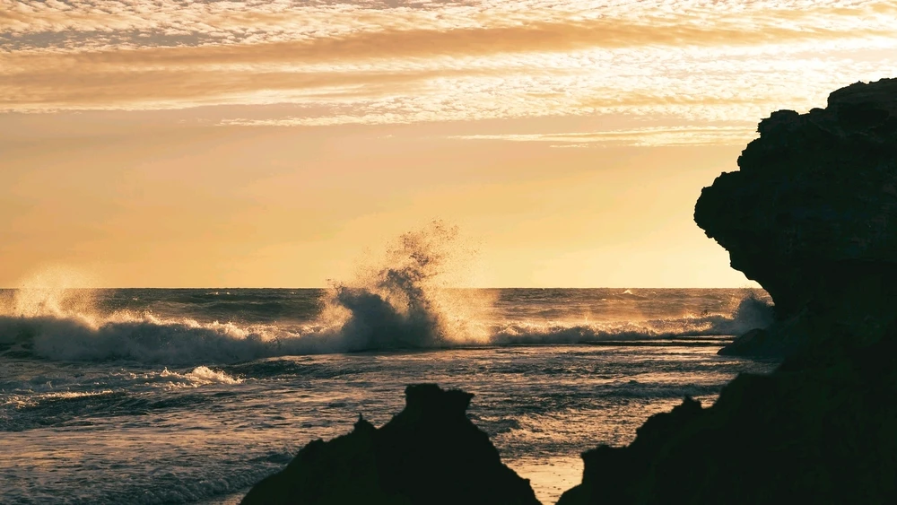 GIF uploaded by Serge Aus