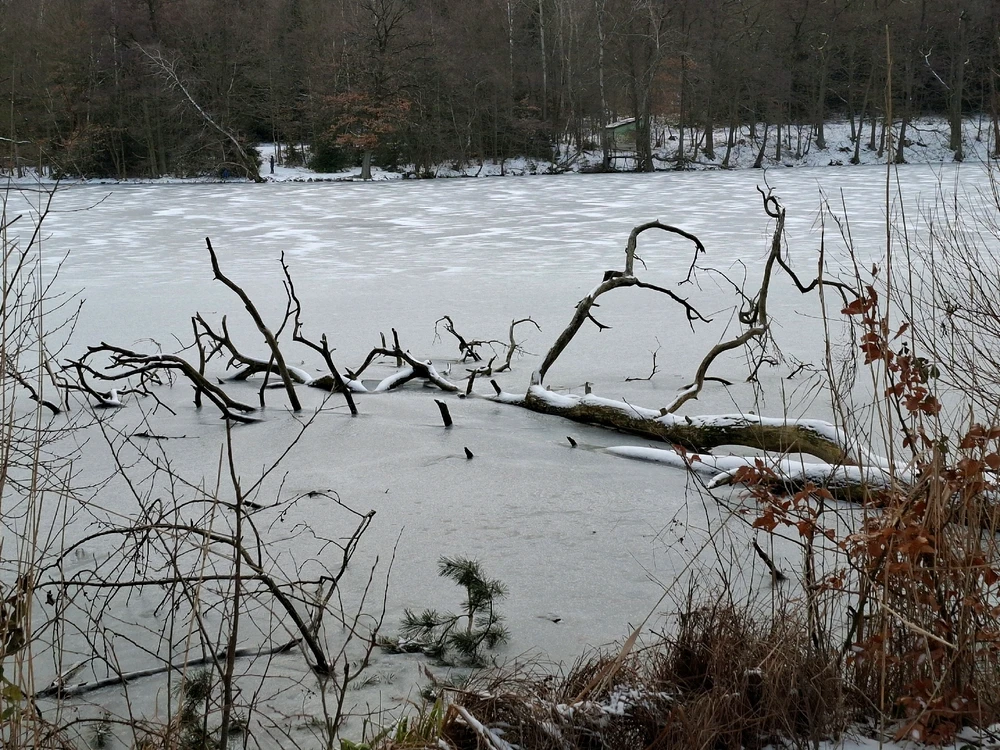 Obrázek nahrál ©️Iva 🦉