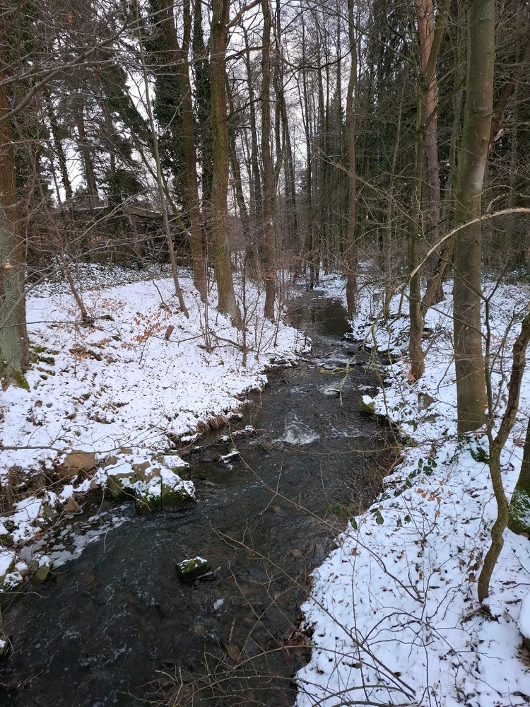 Obrázek nahrál ©️Iva 🦉