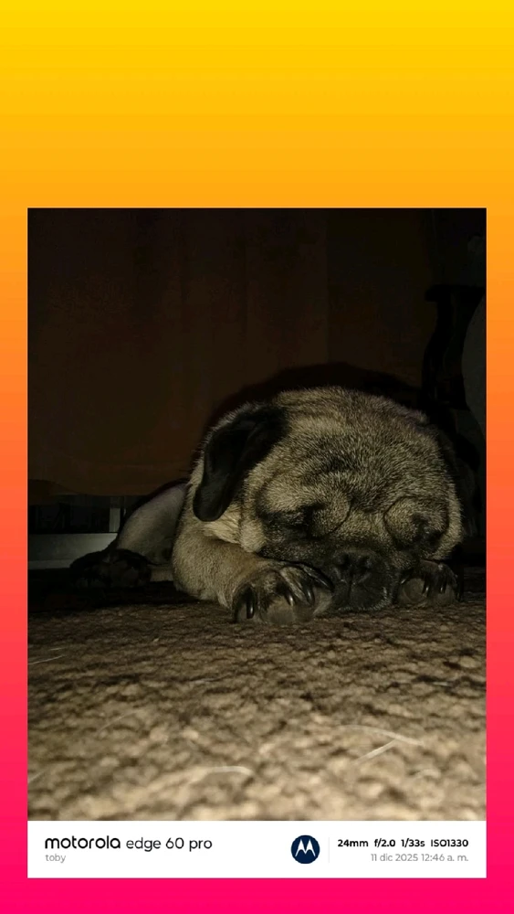 GIF subido por Felipe