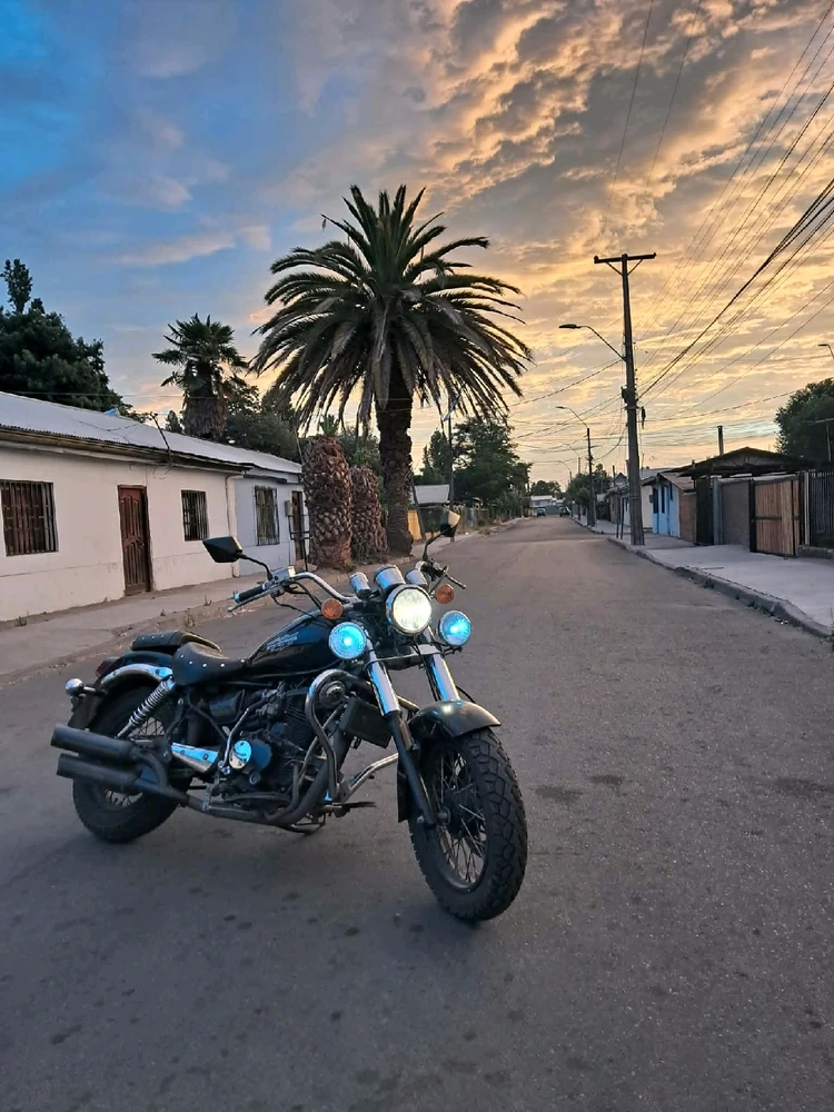 GIF subido por Ignacio Mestre