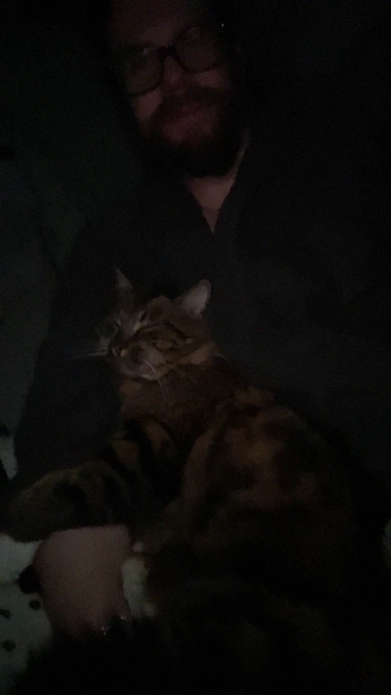 GIF uploaded by Christopher